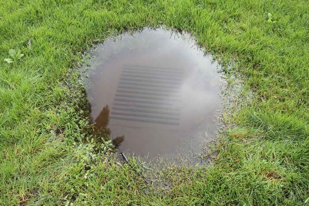 overflowing outdoor drain