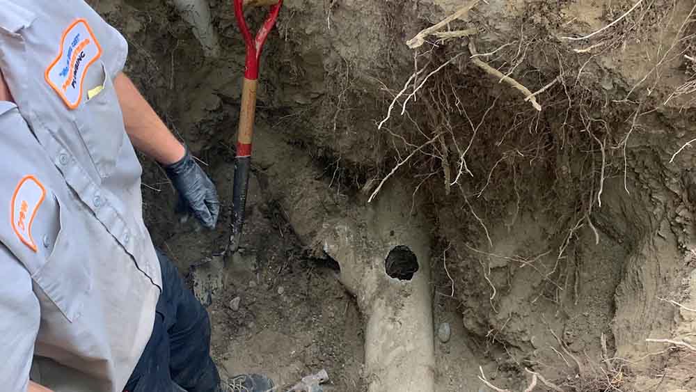cracked sewer pipe repair Shoreline, WA