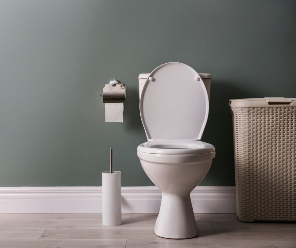 toilet