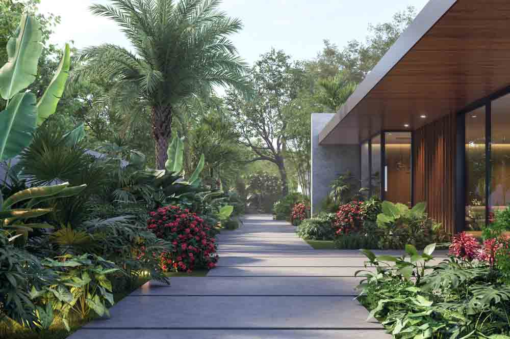 lush backyard garden