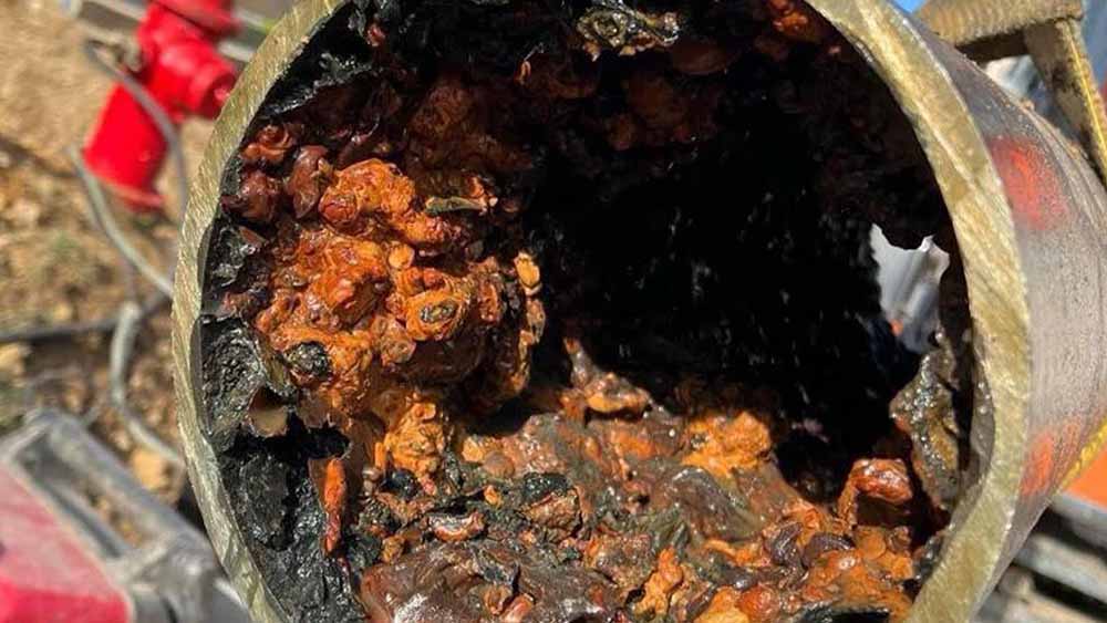 The Seattle Plumber’s Guide: 4 Critical Warning Signs Your Side Sewer Line Is Failing