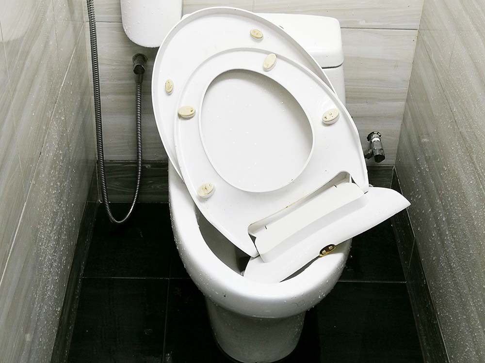 What Are The Top Causes Of Toilet Damage?