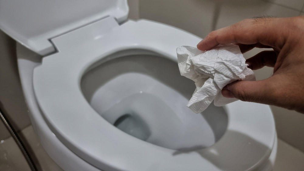 Main Culprits Behind a Clogged Toilet
