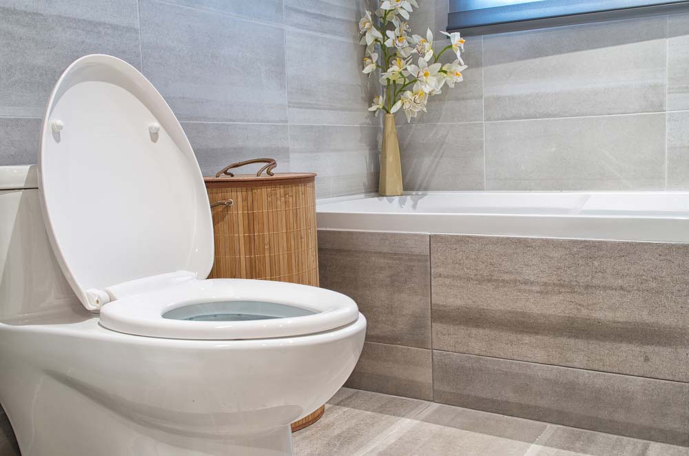 How To Choose A New Toilet
