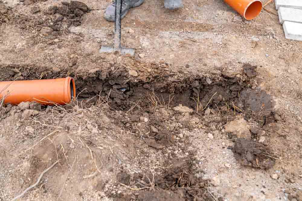 What to Do When Dealing with a Sewer Backup