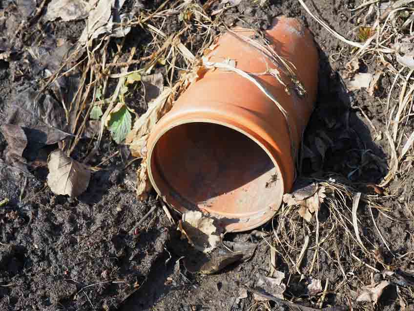 What to Expect and How to Prepare for Having Your Sewer Fixed