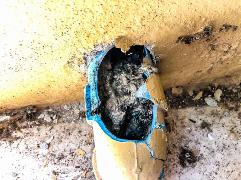 Catching Sewer Failures Before Landscaping Sinks