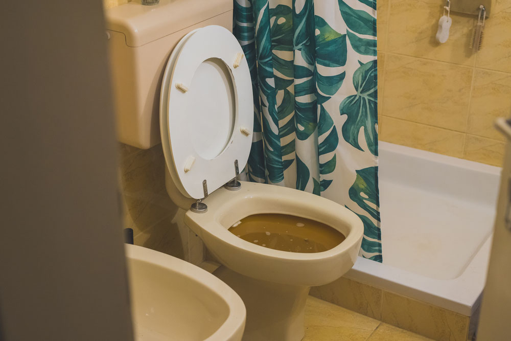 Phantom Flushes and High Bills: Is It Time to Replace Your Seattle Toilet