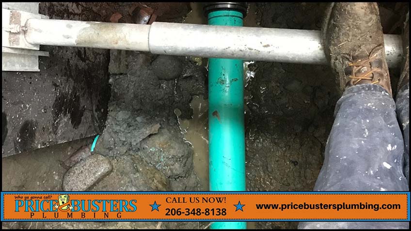 Why Seattle Homeowners are Ditching the Dig: Our Team’s Take on Trenchless Sewer Repair